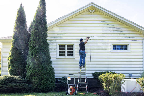Best Dumpster Area Cleaning  in Buhl, MN